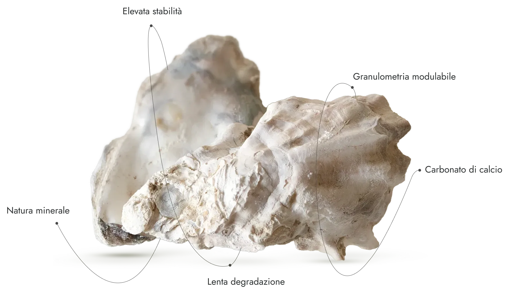Ostrica con le qualità del materiale: elevata stabilità, granulometria modulabile, carbonato di calcio, natura minerale, lenta degradazione