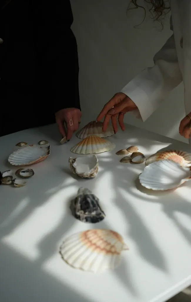 Mani che raccolgono conchiglie di scarto su un tavolo